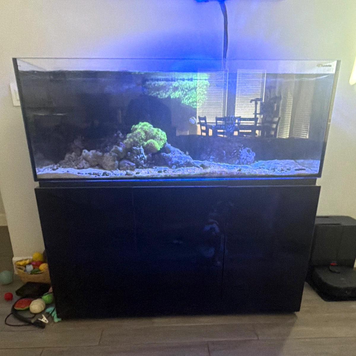 Rectangle (Standard) Aquariums & Tanks 6 ft Tank Width for sale | eBay