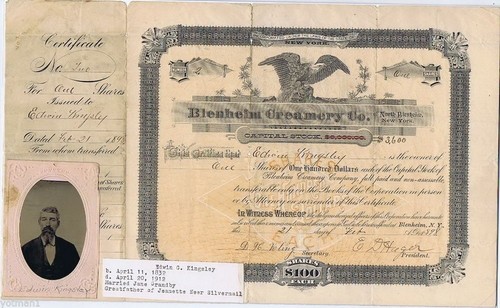 Original abgebrochenes Kapitalstockzertifikat Blenheim Creamery Co. 1898, Edwin Kingsley
