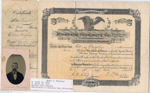 Original Canceled Capital Stock Cert. Blenheim Creamery Co. 1898, Edwin Kingsley - Afbeelding 1 van 1