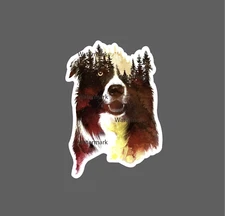 Dog Wild Sticker Border Collie Waterproof