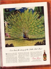 Print Ad Four Roses Whiskey 1938 Peacock Full Page Large Magazine 10.5"x13.5"