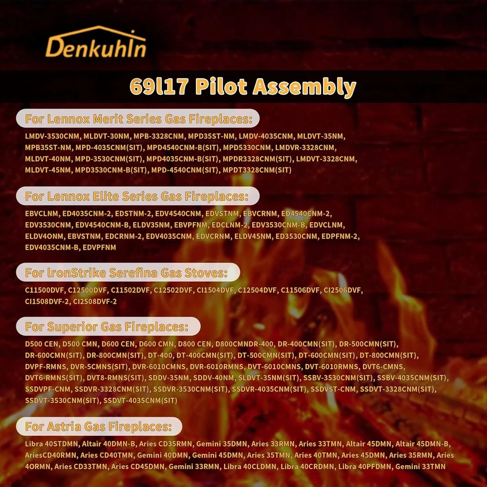 Conjunto piloto chimenea gas natural J4117 108084-02 69l17 69L1701 904405 Foto 3 de 4