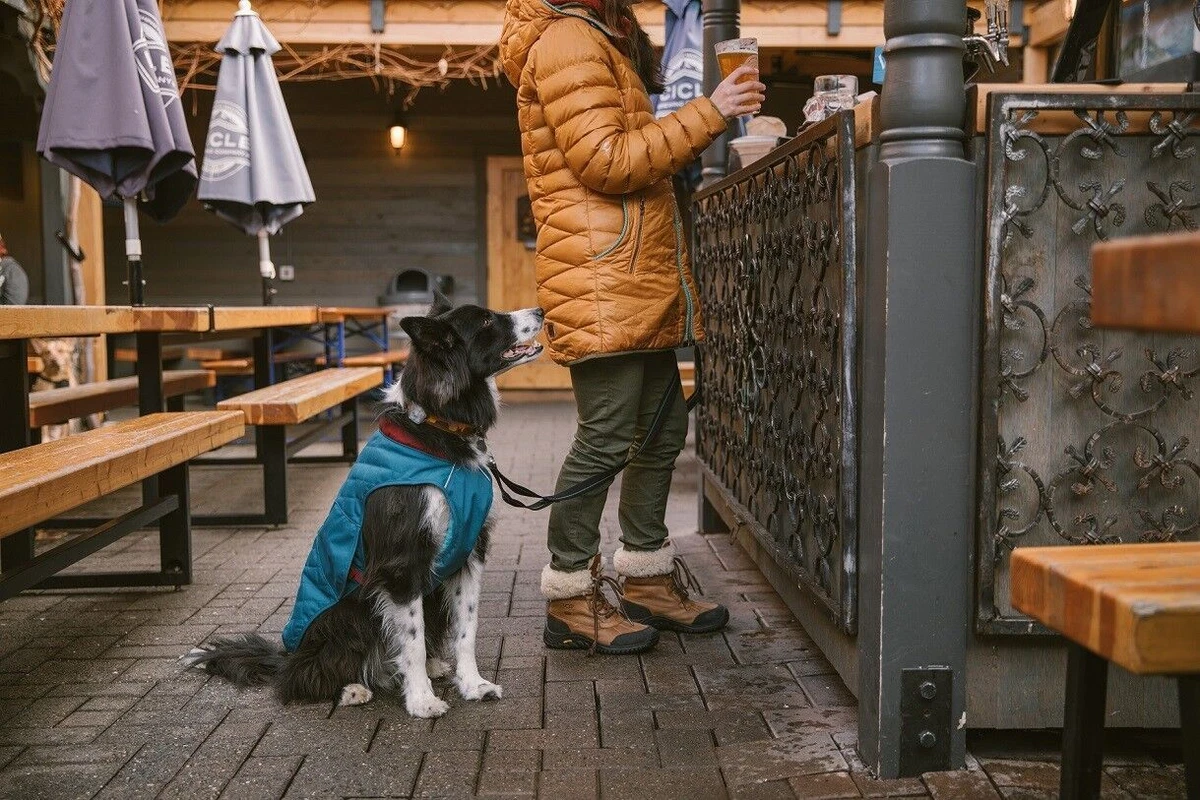 Ruffwear stumptown insulated dog jacket discount
