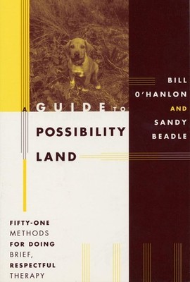 A Guide to Possibility Land: Fifty-One Methods for Doing Brief, Respectful T...