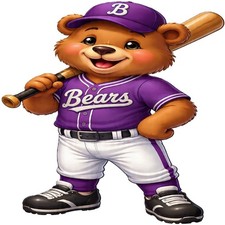 30 Custom Simple Purple Baseball Boy Personalized Address Labels