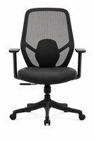 Ergonomischer BüRostuhl Mit Mesh-RüCkenlehne, Verstellbaren Armlehnen