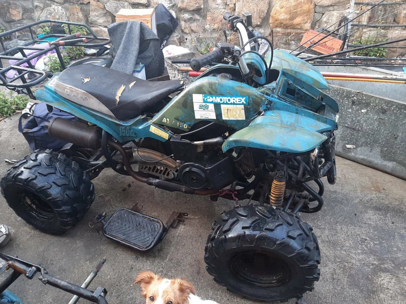gumtree quads