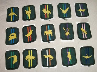 Vintage Boy Scout Assoc. Proficiency Patches. X15.