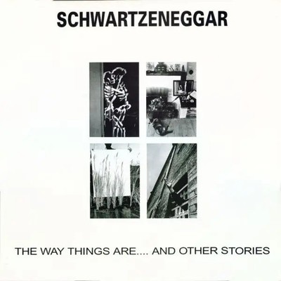 LP Schwartzeneggar The Way Things Are....And Other Stories Rugger Bugger Disc