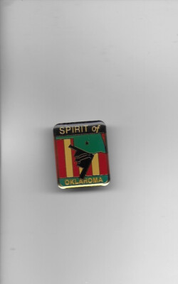 B-2 Bomber ''Spirit of Oklahoma'' Hat/Lapel Pin