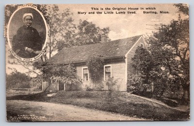 Vtg Postcard Mary Sawyer Little Lamb Sterling Massachusetts Farm Scene 1947