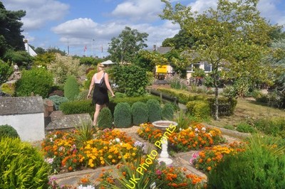Foto A2 Wimborne Minster: Blumen in der Modellstadt Diese Blumen machen c2010