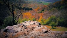 Landscape forest fall red leaves trees Custom Gaming Mat Desk