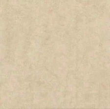 Fairy Frost BUTTERSCOTCH Pale Cream Peach Michael Miller Fabric By the FQ 1/4 YD