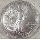 2025 American Silver Eagle .999 Fine Silver 1 oz BU In Capsule FAST SHIPPING