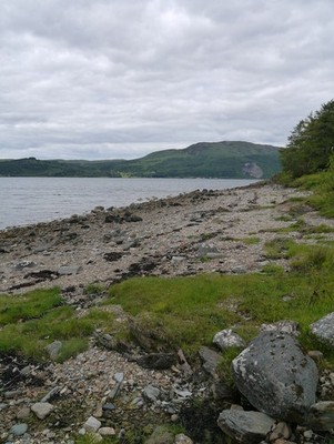 Photo A3 Loch Fyne Shoreline Garbhallt A view of the rocky shoreline nor c2012