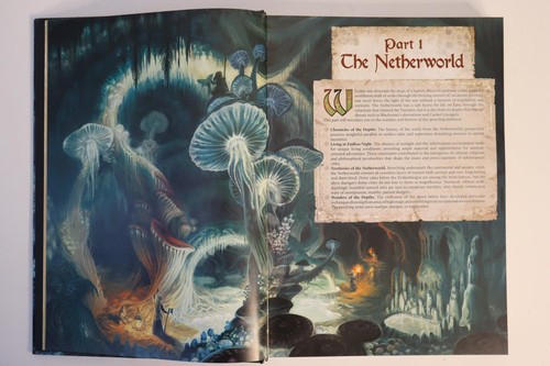 Studio Agate Encyclopedia 2 Netherworld 5E HC - Imagen 5 de 18