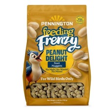 Fresh Peanut No-Melt Suet Nuggets Wild Bird Food 27 oz 1 Pack