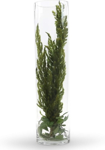 "Versátil jarrón cilíndrico de vidrio transparente de 6"" de diámetro - Relleno de flores o velas" - Imagen 6 de 9