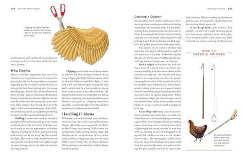Storey's Guide to Raising Chickens, 4. Auflage: Rasseauswahl,... - Bild 8 von 12