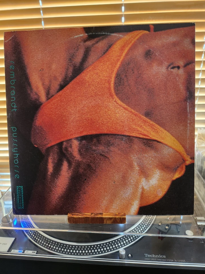 Butthole Surfers, Rembrandt Pussyhorse, 1986 1st Touch & GO,  VG+/VG+ - Image 2 of 4