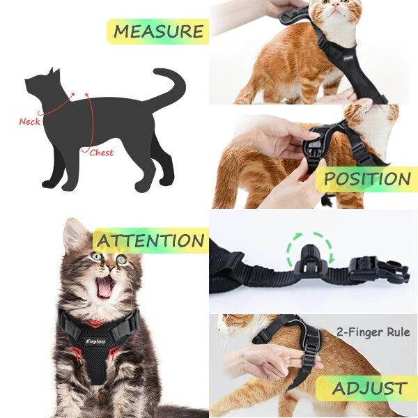 Eagloo cat clearance harness
