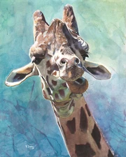 Giclee fine art print of gouache painting African giraffe, wildlife 8"×10" 