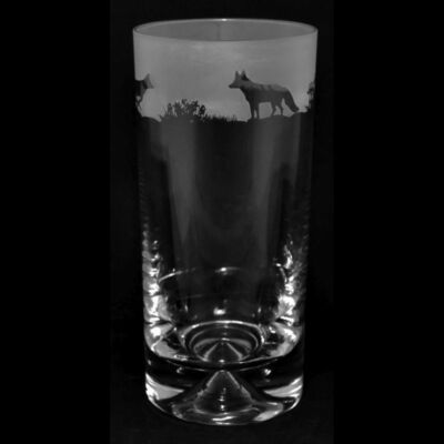 Animo Glas - SANDGESTRAHLTER FRIES HIGHBALL TUMBLER GLAS - Fuchs