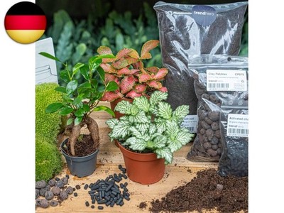urbanjngl - Bonsai Ficus Ginseng Terrarium Start- und Nachfüllpaket   3 Te