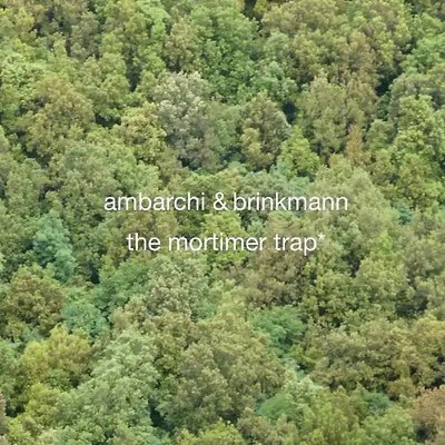 Ambarchi & Brinkmann - The Mortimer Trap