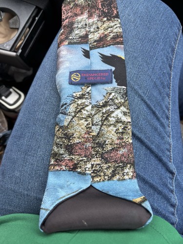 Endangered Species Bald Eagle 100% Silk Tie - Picture 15 of 18