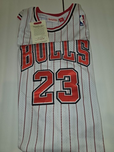 Bulls Team Jersey Jordan 23 XL Mens