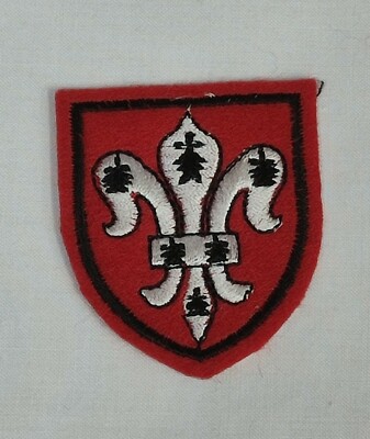 Toppa Ricamata Stemma Città Di Firenze | Termoadesiva 8x6 Cm | Per Zaini E Felpe - Foto 5