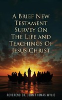 Rev. John Thomas Wylie | A Brief New Testament | Taschenbuch | Englisch (2026)