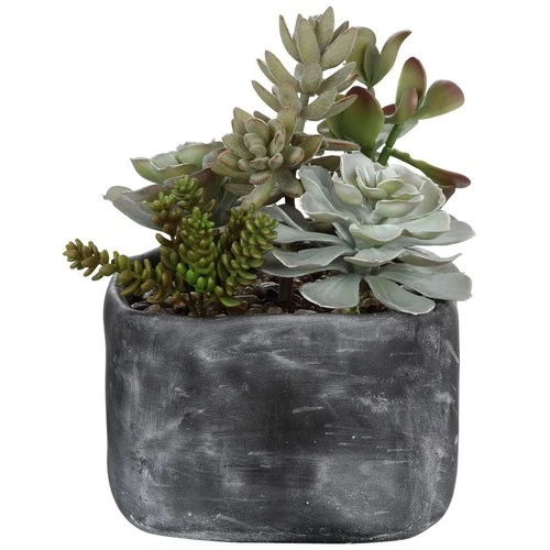 Alverio  - 10 inch Desert Garden Succulents Accessories Uttermost 60173 - Picture 6 of 8