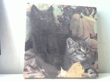 Hoyle WHISKERED FRISKERS kittens 550 piece 18" x 24" puzzle