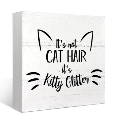 It's Not Cat Hair It's Kitty Glitter Wood Box Sign Funny Cat Decor Gift