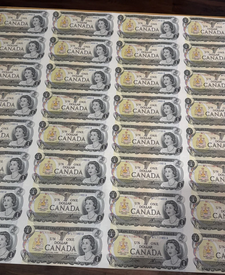 Rare 5 x 8 UNCUT SHEETS 1973 Bank of Canada $1 Banknote, rolled, Excellent Grade - Image 3 of 4