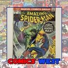 AMAZING SPIDER-MAN #120  *  6.5 (FN+) *  Spidey vs. Hulk! 1973