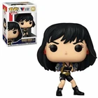 Wonder Woman The Contest Knockout 80th Anniversary Funko Pop! Vinyl Figure