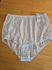 VINTAGE vanity fair SILKY NYLON GRANNY PANTY BRIEFS sz 9 Nwt Fawn