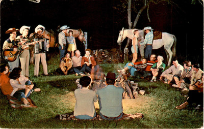 Stony Creek, N. Y., Adirondacks, Luzerne, Western horses, wr Postcard