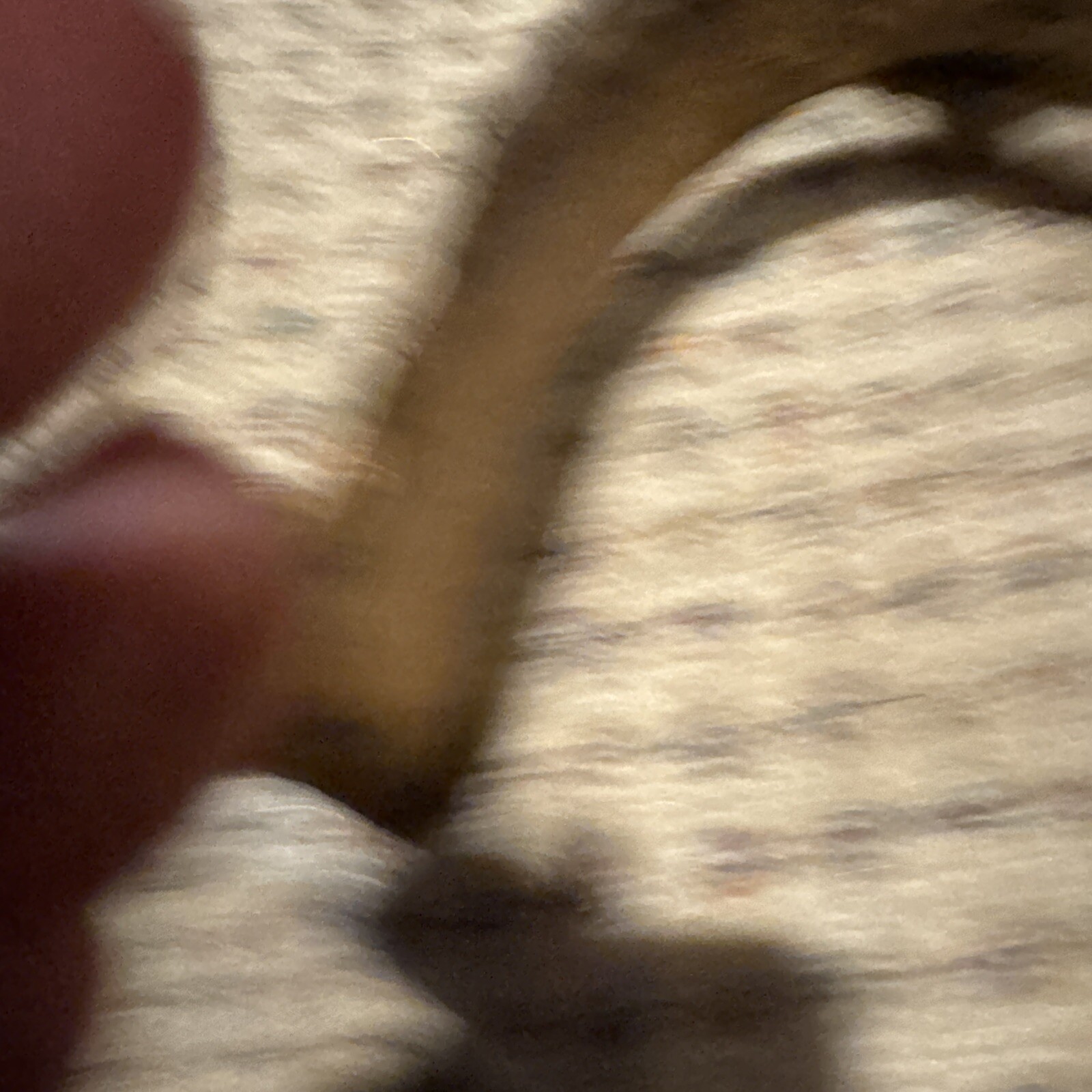 Photo 8/16