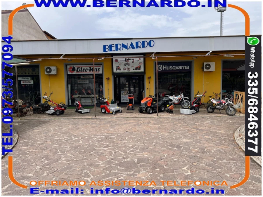 POMPA OLIO ORIGINALE CON VITE SENSA FINE MOTOSEGA OLEO-MAC 956 962 GS630 - Immagine 4 di 4