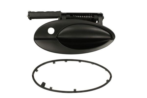 Right Front BLIC 6010-21-020402P Exterior Door Handle for CITROËN