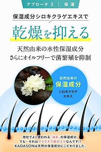 KADASON Medicated Scalp Shampoo Dandruff Itching Malassezia Fungus
