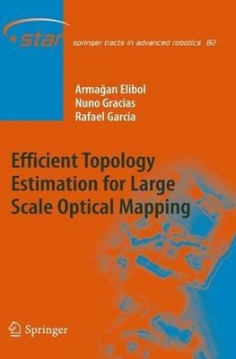 Efficient Topology Estimation for Large Scale Optical Mapping - 9783642432033