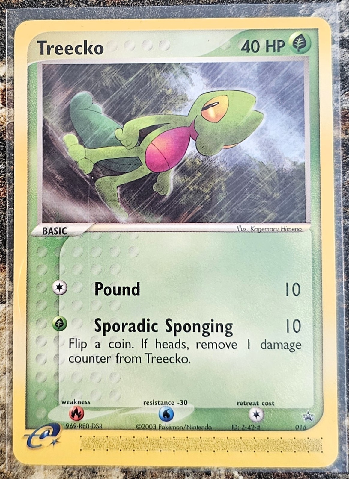Pokemon 2003 Black Star Promo Treecko 16 LP