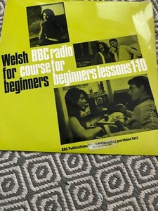 Welsh For Beginners Lessons 1 10 Lp In Excellent Condition Rare And Collectable Ebay