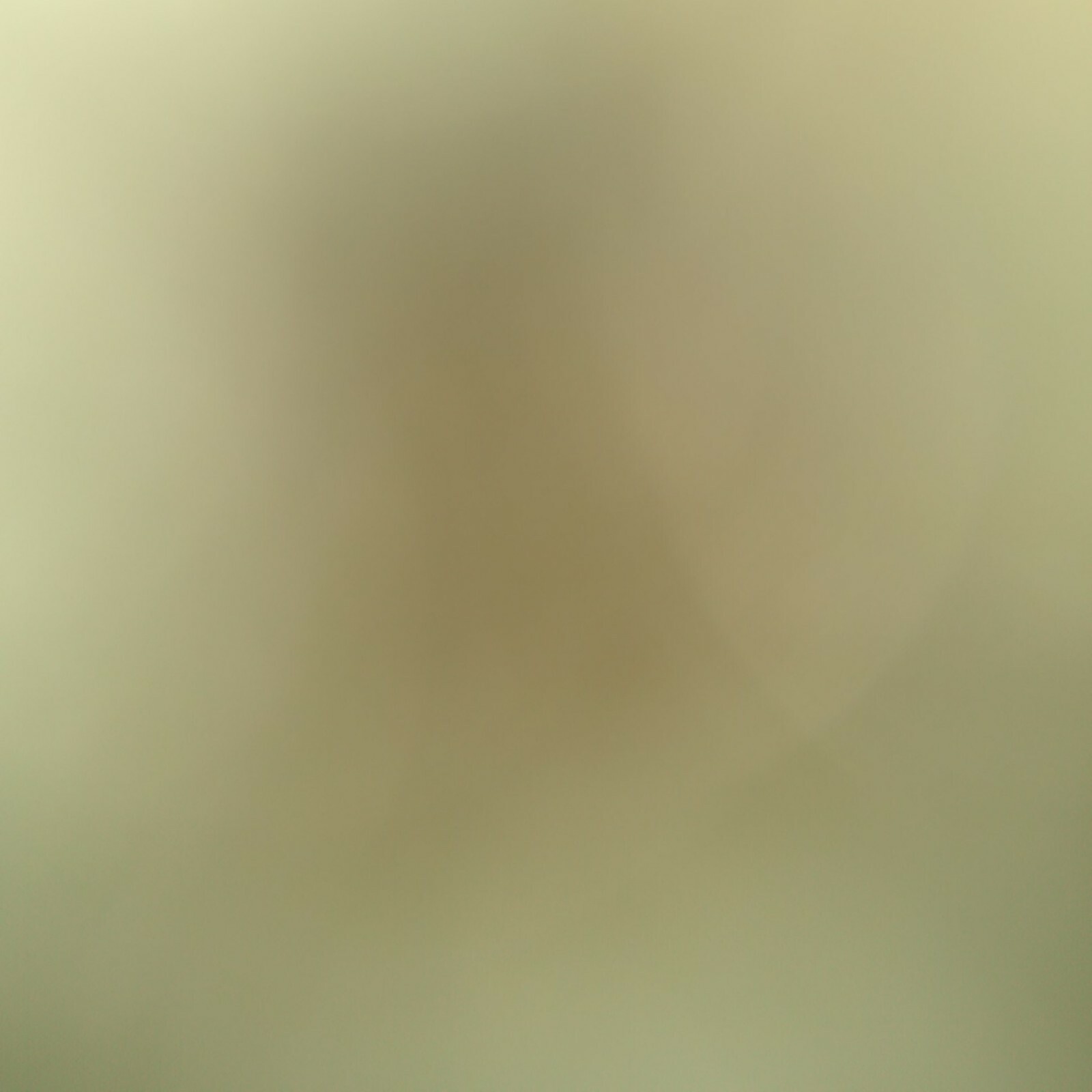 Bild 7 von 11